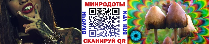Псилоцибиновые грибы Magic Shrooms  ОМГ ОМГ   Пионерский 